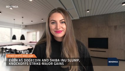 As Dogecoin And Shiba Inu Slump, Knockoffs Strike Major Gains