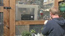 Family fights to keep their monkeys in Rochester