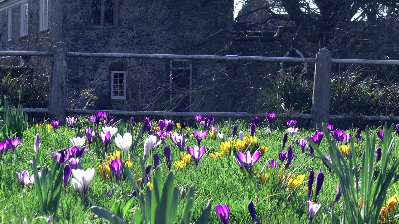 How Kent's rural villages are benefiting from uber fast broadband created by Elon Musk