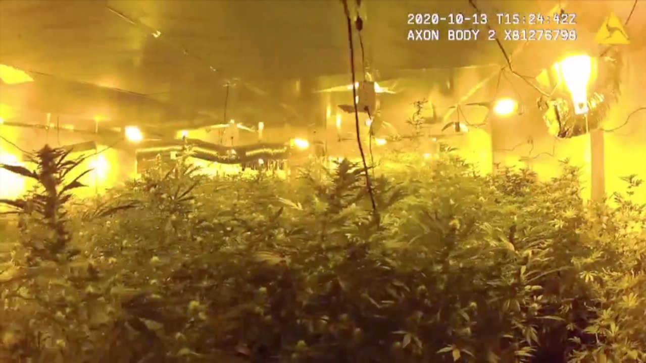 Should drugs be legalised to combat county lines in Kent?