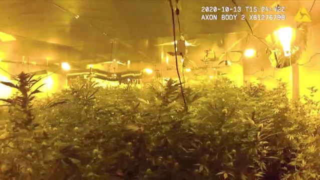 Should drugs be legalised to combat county lines in Kent?