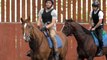 Kent horse racing trainer condemns Gordon Elliott's dead horse photo