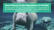 Best Places to See Manatees in Florida