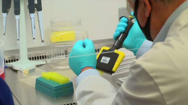 University of Kent virologist discusses Swale covid rates