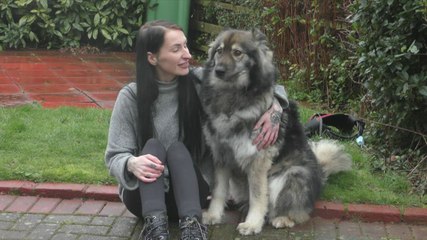 Maidstone animal lover has started a campaign to crackdown on neglect