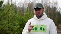 Plantação de mil milhões de árvores arranca na Ucrânia sob críticas