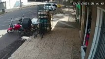 Cadelinha que foi flagrada roubando pão é encontrada morta