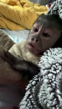 Start your Day With Gaitlyn Rae! Smile it’s MONDAY!!!Happy Monday we hope you all have 1st good day start to the week! Loves of snuggles Gaitlyn Rae