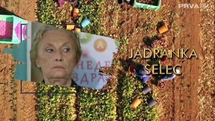 Kolo srece - 55 epizoda NOVO