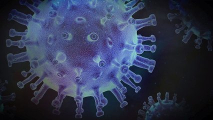 Kent scientists find potential contributor to severe form of coronavirus