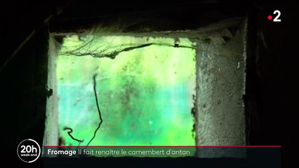 Paris : une entreprise sociale et solidaire fait revivre le camembert au lait cru dans la capitale