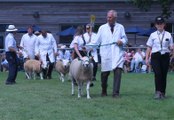 The Kent County Show 2020 has been cancelled