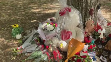 Balloons released for Lucas Dobson on anniversary of his death