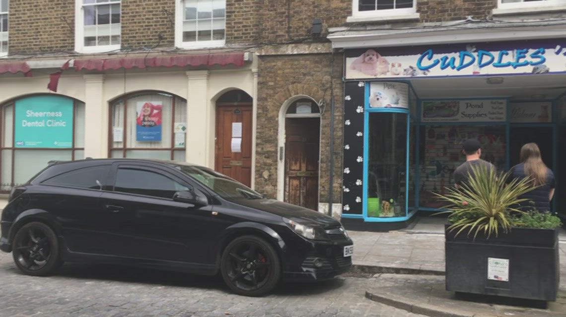 Dozens of animals die in Sheerness pet shop fire