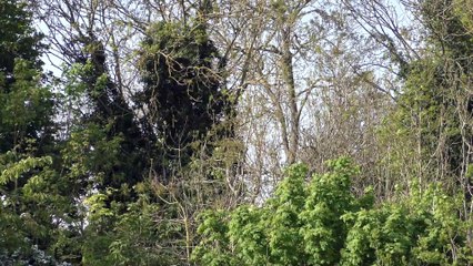 More drivers appearing in court over speeding offences since lockdown