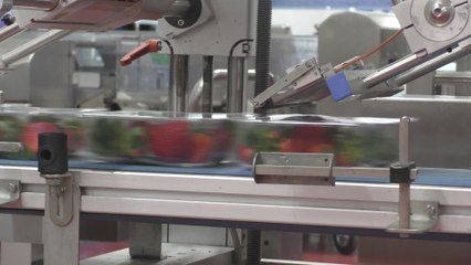 Kent fruit farm offers jobs to those unemployed because of coronavirus