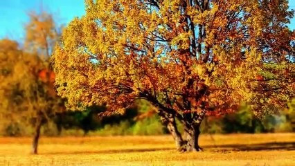 مناظر طبيعية HD