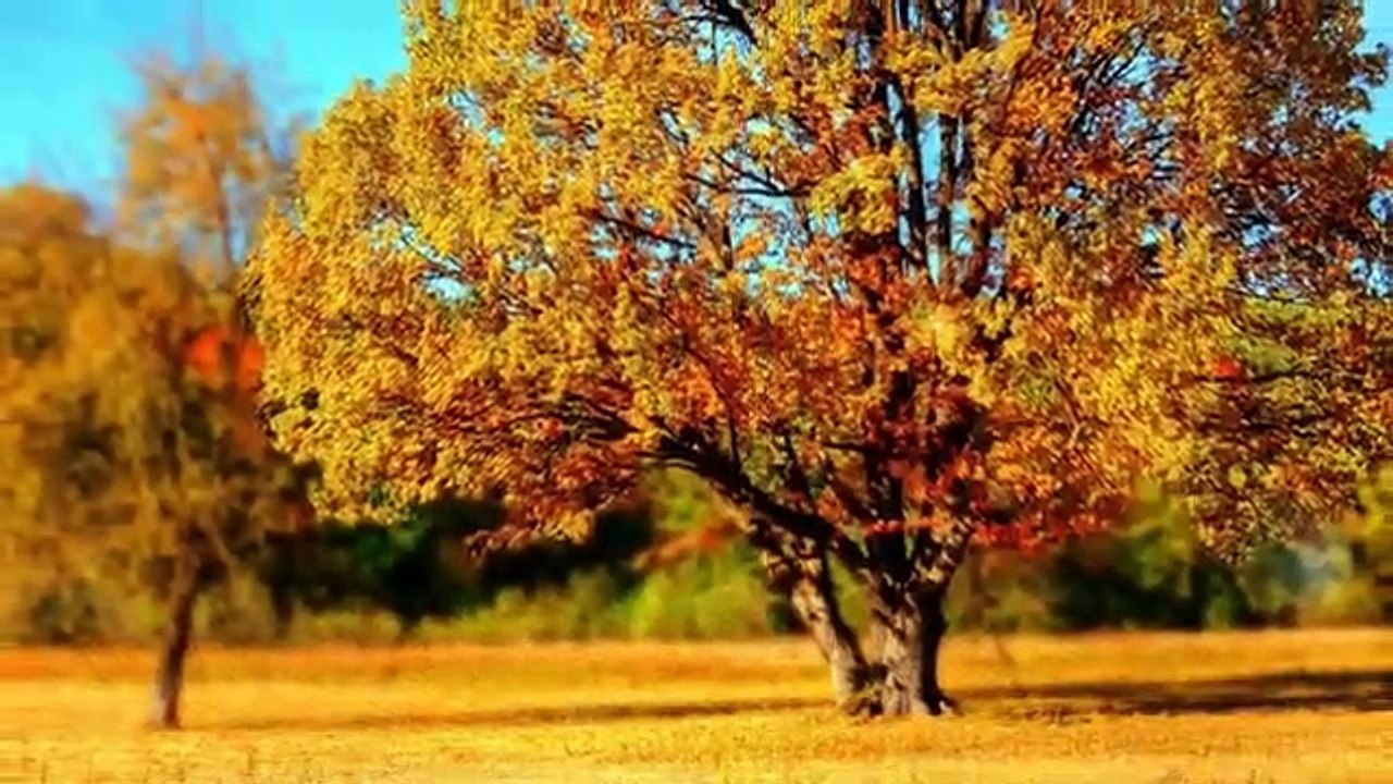 مناظر طبيعية HD