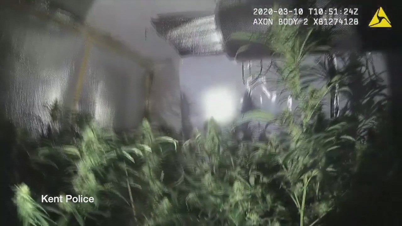Kent Police seize cannabis from Strood