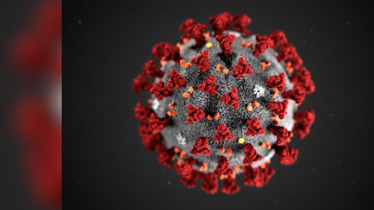 Coronavirus fears causes Kent to prepare for widespread event cancellations