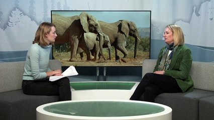 Aspinall Foundation aiming to raise £100,000 to save animals in South Africa.