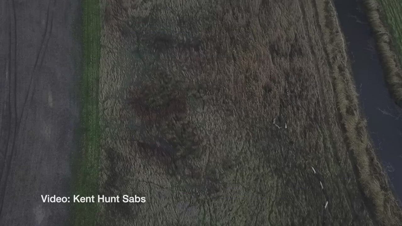 Fox Hunt Kill