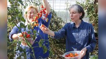 The unique Kent-based charity teaching people with learning difficulties how to cook