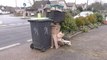 Bin company causes chaos for residents