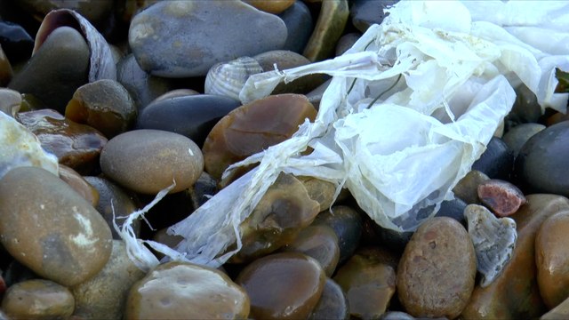 Kent organisation is hoping to raise awareness about the importance of protecting and improving the county's rivers