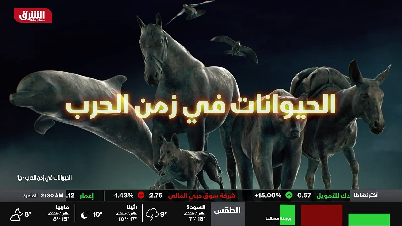 ...العراق ....