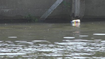 Rivers in Kent struggle to meet healthy standards