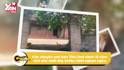 Chú chó dành 12 năm từ lúc lọt lòng đến khi "rụng hết răng" để chờ chủ tha hương quay về | Điện Ảnh Net