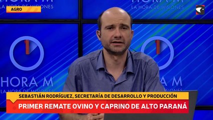 Primer remate ovino y caprino de Alto  Paraná