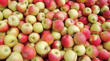 A fruit research centre in Kent is teaming up with international companies to explore scientific studies