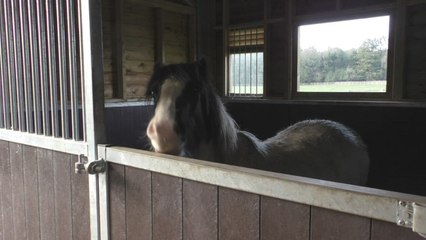 Calls to restrict fireworks across Kent