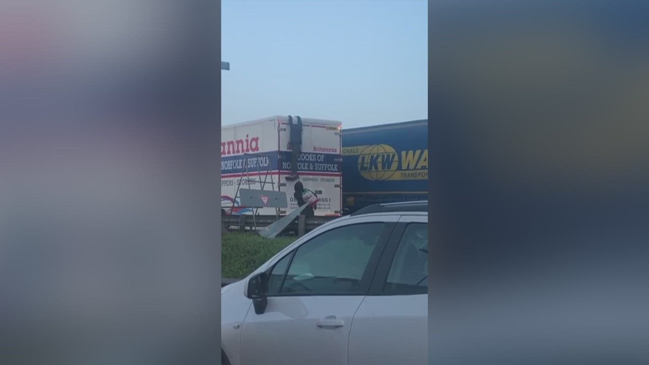 Lorry Video