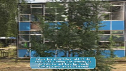 New plans for derelict Chaucer School