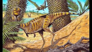 Museu Nacional anuncia descoberta de dinossauro com características raras no Brasil