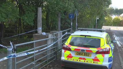 Sarah Wellgreen went missing in October last year