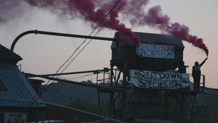 Protesters film themselves at Tunbridge Wells slaughterhouse