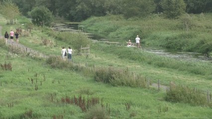 Concerns over historic meadow transformation in Canterbury