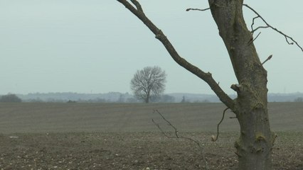 Councillors fear Sittingbourne can't cope with plan for 11,500 new homes