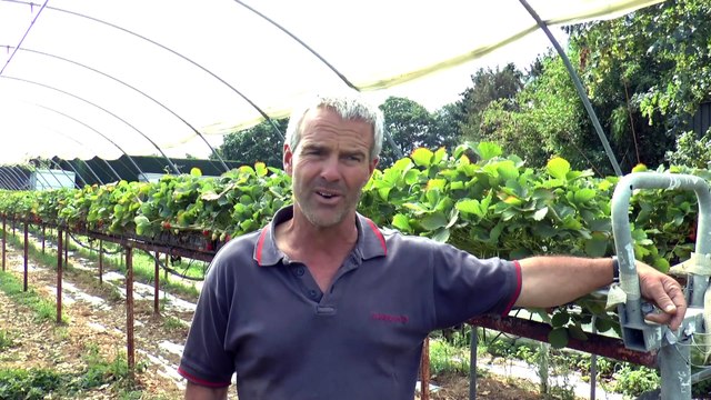 Kent Business - Wednesday 7th August 2019