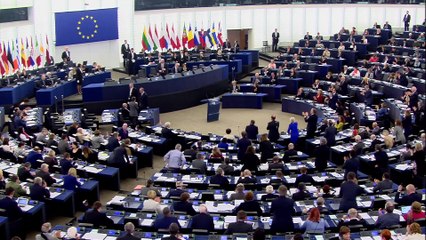 EU Elections explained: All you need to know ahead of 23rd May