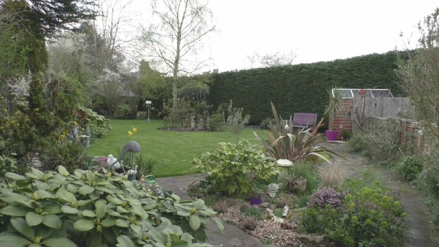 Pharmacies give out smaller prescriptions amid Brexit uncertainty