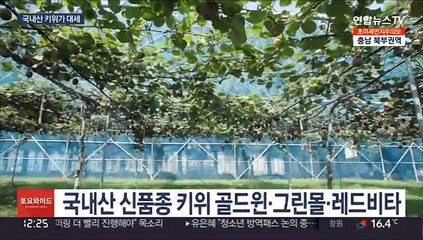 신품종 국산 키위…"맛도 영양도 듬뿍"