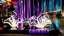 CHIHULY COLLECTION - Sandra Ainsley Gallery