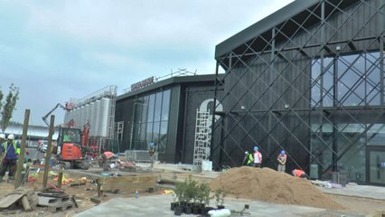 Made In Kent: Curious Brewery