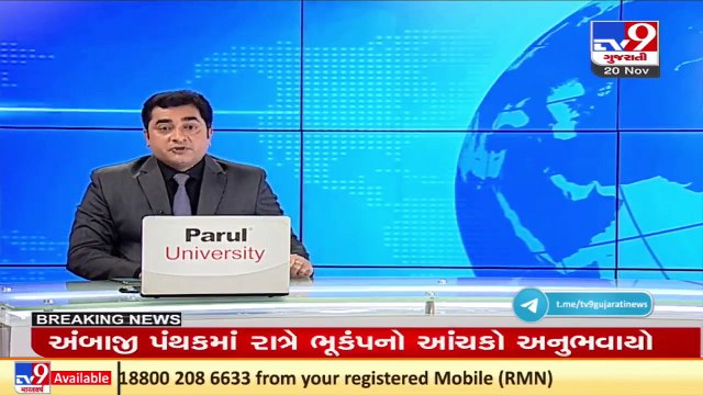 Viral video shows lion pride roaming in residential area of Amreli _ TV9News