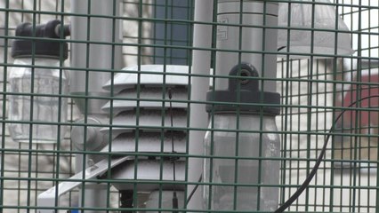 Maidstone councillors bid to tackle pollution